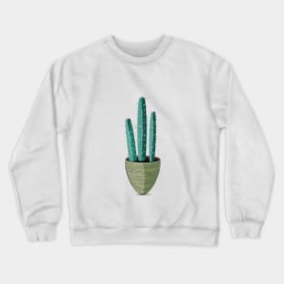 Copy of  Cactus in green pot Crewneck Sweatshirt